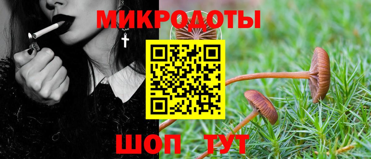 Псилоцибиновые грибы ЛСД  Галлюциногенные грибы Cubensis  Вход с VPN  Славгород 